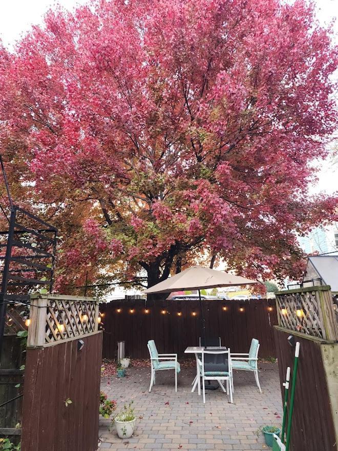 Magnolia Stay Near New York City Jersey City Exterior foto