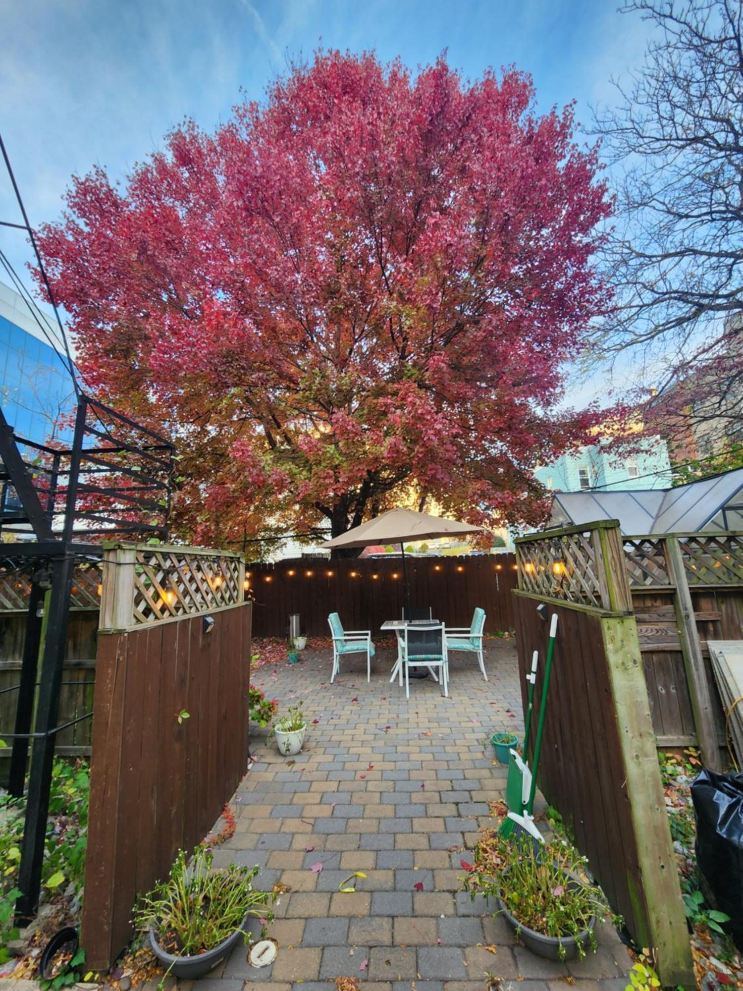 Magnolia Stay Near New York City Jersey City Exterior foto